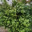 image01